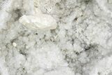 Keokuk Quartz Geode with Columnar Calcite Crystals - Iowa #215039-3